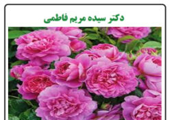 خواص گل محمدی