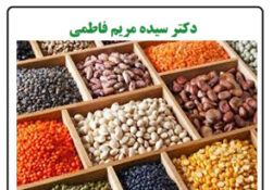 مواد غذایی روی دار