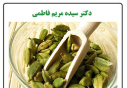 خواص هل چیست؟