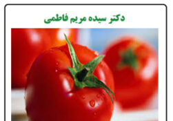 خواص گوجه فرنگی