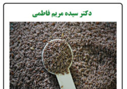 آیا می‌دونستید؟