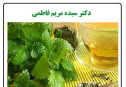 بادرنجبویه
