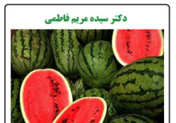 خواص هندوانه