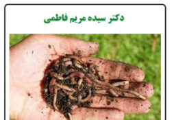 کرم درمانی چیه؟