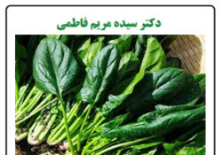 حفظ جوانی بدن