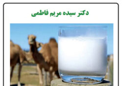 سرانه شیر شتر