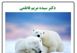 خواب زمستانی