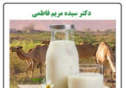 شیر شتر
