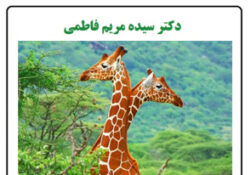 کم‌خواب‌ترین جانور خشکی