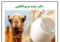 خواص درمانی شیر شتر برای بدن