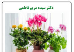 افسردگی