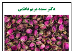 گل سرخ