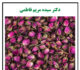 گل سرخ